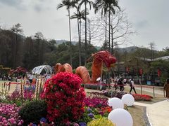 -广州市白云山风景名胜区
