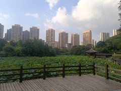 -龙头寺公园