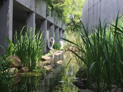 -中国湿地博物馆