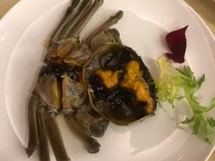 -王宝和酒家(黄浦店)