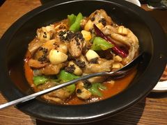 黑松露牛肝菌焖牛蛙-云海肴·汽锅鸡·云南菜(苏州中心店)