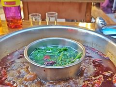 牦牛杂火锅-金鼎雪山牦牛杂火锅(理县总店)