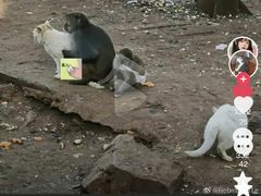 -昆明动物园