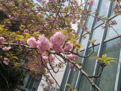 -同济大学(嘉定校区)