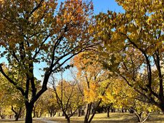 -长春公园(普阳街道)