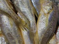 -重振华中蔬菜批发市场(重庆中路店)