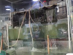 -断桥王老四青椒鱼庄(兴义店)