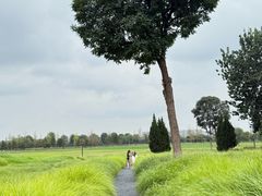 -汉长安城未央宫国家考古遗址公园