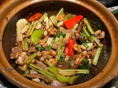 啫啫猪杂-煲煲好(朝阳门店)