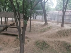 -石家庄市动物园