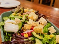 田园时蔬沙拉配芝麻酱-宝莱纳啤酒花园餐厅PAULANER BRAUHAUS Nanjing(广州路店)
