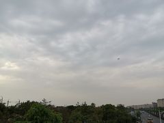 -宝安西湾红树林湿地公园