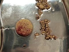 -宠爱国际动物医院· 猫科· 外科·中兽医(长白店)