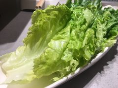 长叶生菜-海底捞火锅(高新万达店)