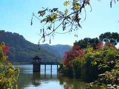 -青山湖景区