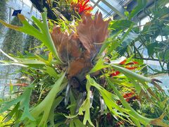 -国家植物园南园