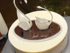 -BLACKSWAN黑天鹅(环球店)