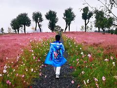 -汉长安城未央宫国家考古遗址公园