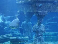 -海合安青岛极地海洋公园