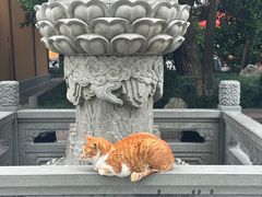 -龙华寺