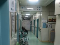 -北京观赏动物医院·24小时大型综合·猫专科·异宠专科