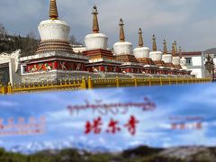 -塔尔寺