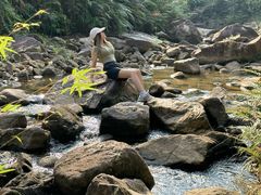 -广州白江湖森林公园