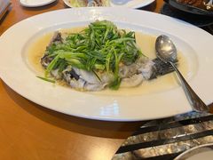 -广州富力君悦大酒店空中花园