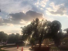 -寂寞的豆芽(龙泽路店)