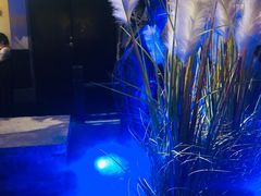 -绿茶餐厅(城西银泰城店)