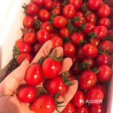 家中自制西米露，讨女孩子喜欢不可少