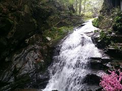 -藏龙百瀑风景区