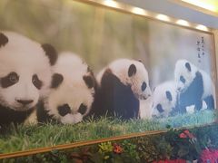 -成都驻京办餐厅(蜀都宾馆店)