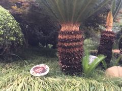 -兰溪青年公园