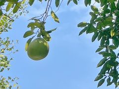 -杭州黄龙洞