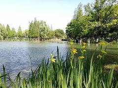 -白塘生态植物园