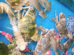 -东海章鱼馆(恒瑞街店)