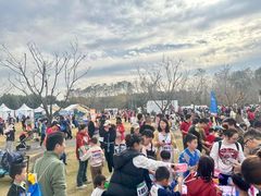 -上海贝贝佳幼儿园