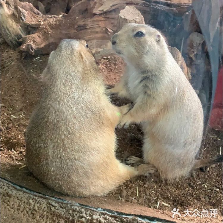 🔥爆魔都的遛娃胜地!快来打卡吧!