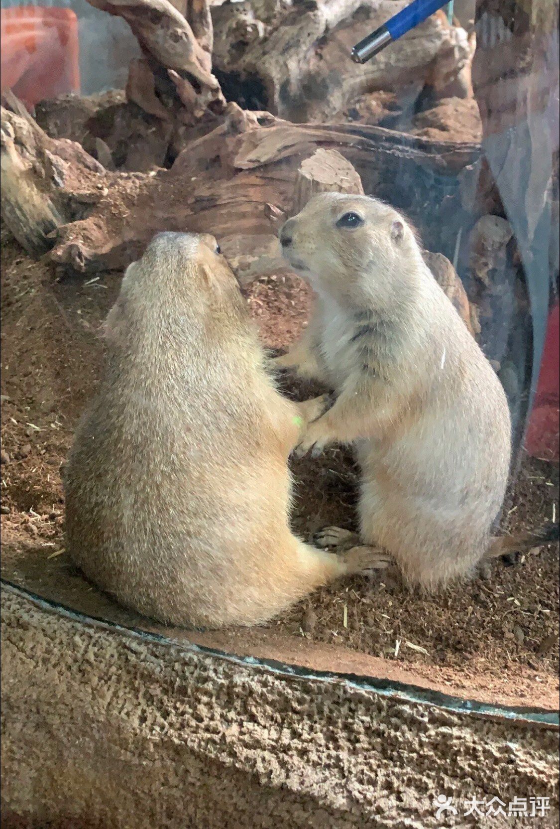 🔥爆魔都的遛娃胜地！快来打卡吧！