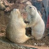 🔥爆魔都的遛娃胜地！快来打卡吧！