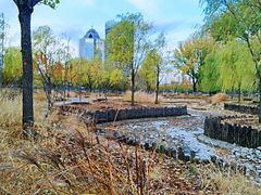 -莲花池公园