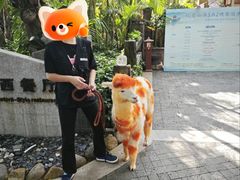 -三亚亚龙湾人间天堂鸟巢度假村