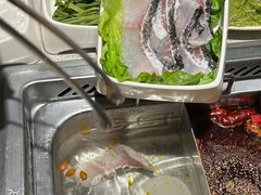 -海底捞火锅(欣大百货店)