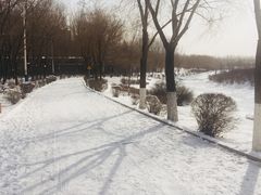 -丁香湖公园