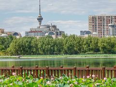 -莲花池公园