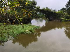 -会仙湿地