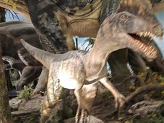 -湖南省地质博物馆