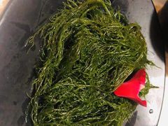-俭让佬妈现卤串串(温江总店)