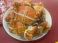 -黄记大闸蟹专卖店·活蟹·醉蟹